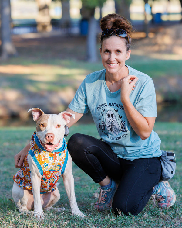 Finn’s Second Chance: A Pit Bull’s Road From Heartbreak to Hope